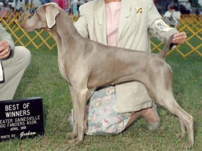 Image of TD's Tiffany Silver V Wismar