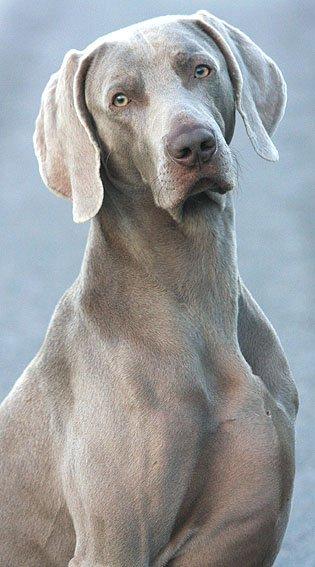 Image of Driftwood's Time Out of Mind