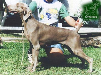 Image of Colsidex the Farm Nobiskrug