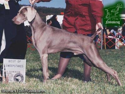 Image of Sho Mar's I Don't Give A Damn