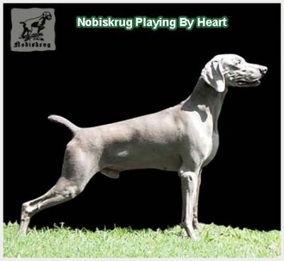 Image of Nobiskrug Playing By Heart