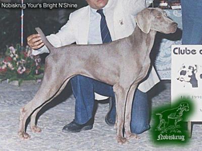 Image of Nobiskrug Yours Bright N'Shine