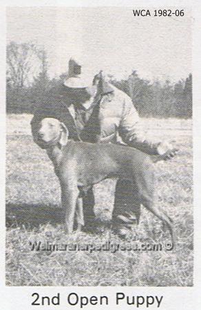 Image of Cary's Baron von Josephus