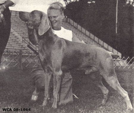 Image of Burmar's Uwe