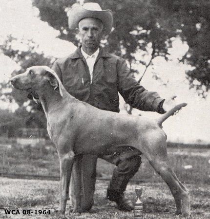 Image of Kempe Jaeger von der Zwei Vogel