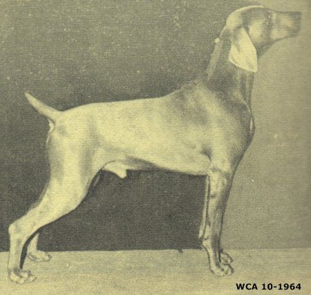 Image of Mcglinchey's Bon von Keeno