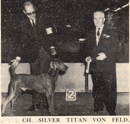 Image of Silver Titan von Feld