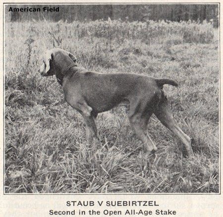 Image of Staub von Suebirtzel