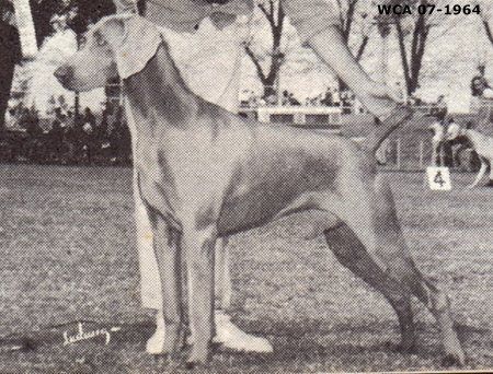 Image of Verdemar's Cochise