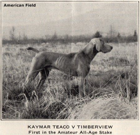 Image of Kaymar Teaco V Timberview