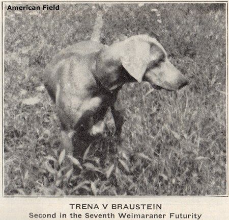 Image of Trena von Braustein