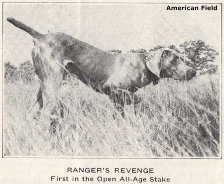 Image of Ranger's Revenge