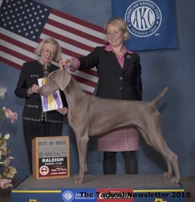 Image of Northwoods Send Money Honey