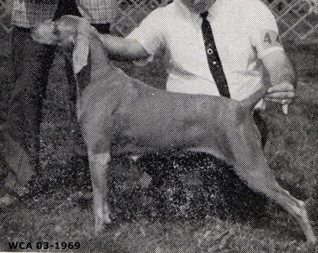 Image of Whiskey Creek Dragon's Legacy