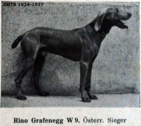 Image of Rino Grafenegg