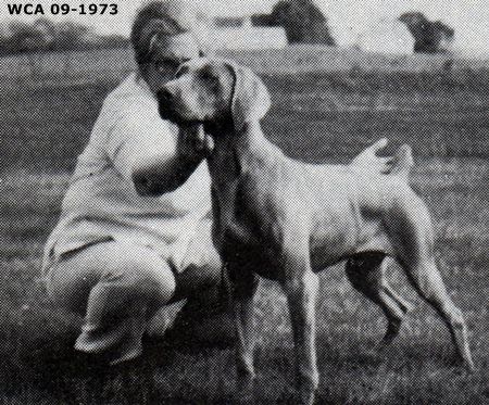 Image of Kleefeld's Silver Shawn