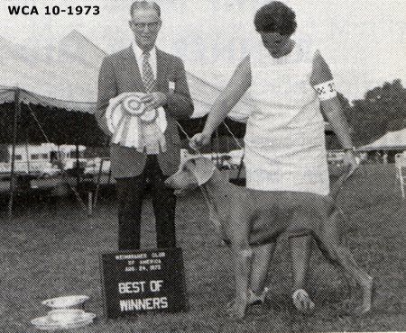 Image of Rona's Rebel Bell von der Reiteralm