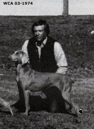 Image of Fairview's Arrow