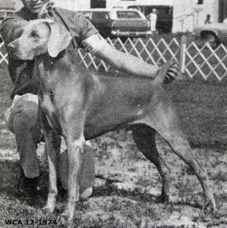 Image of Archduke von Brombachtal