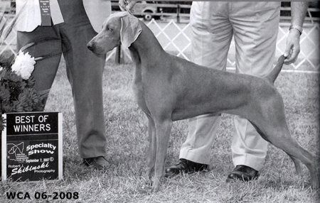 Image of Nani's Hellena Handbasket