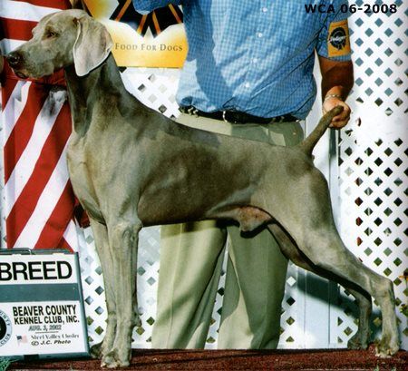 Image of Carousel's Roscoe T. Picotrane