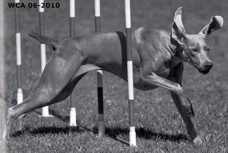 Image of Regen's Ready For The Party