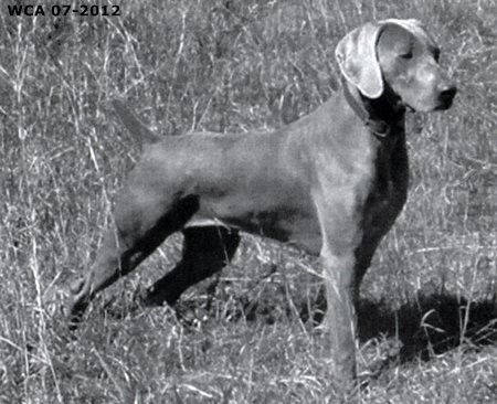 Image of Silversmith Chateau Margaux