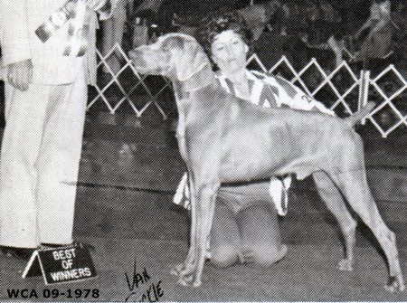 Image of Brought Mar's Sob of Sun Mist