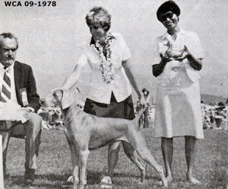 Image of Sargent's Indian Summer