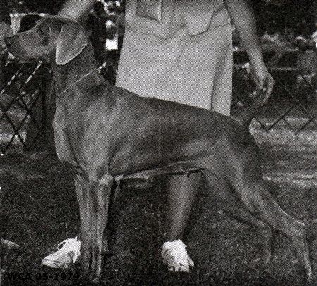 Image of Double Max Pat von Reiteralm