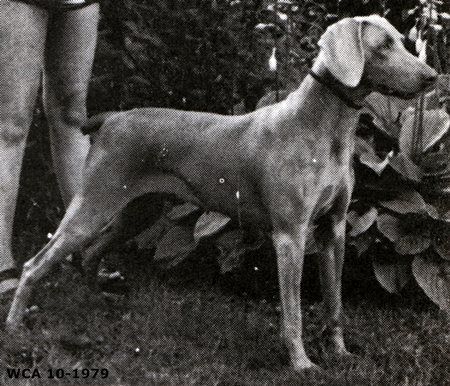 Image of Silver Enchantress Von Sieben