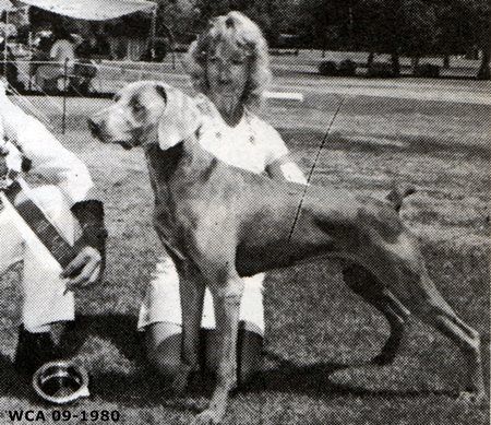 Image of Bo D Russell von Graylodge