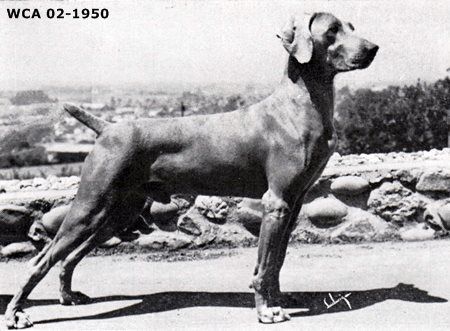 Image of Klarbert's Ador