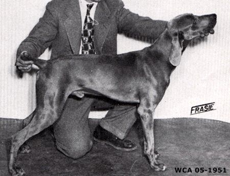 Image of Casar von Haimberg