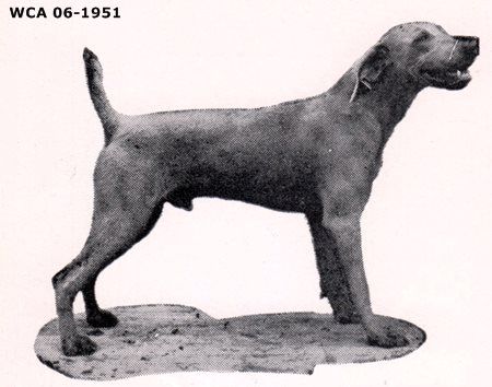 Image of Bolko von der Katzbach