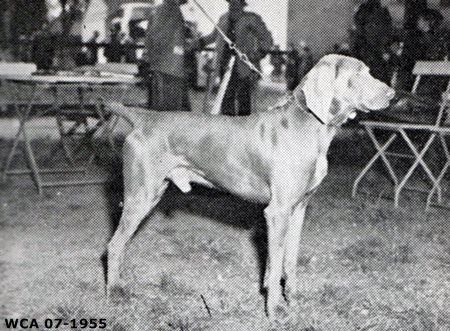 Image of Yes von der Wastlhutte