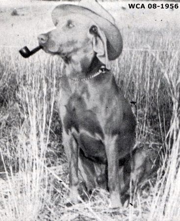 Image of Major von Beckstead