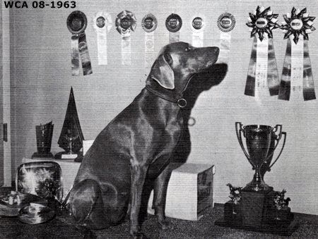 Image of Klein Weidmann von Allendorf