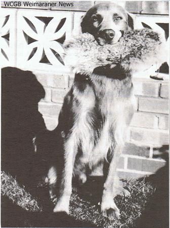 Image of Wyndlee Silver Doubloon of Hasswyn