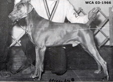 Image of Sebastian of Fairhills