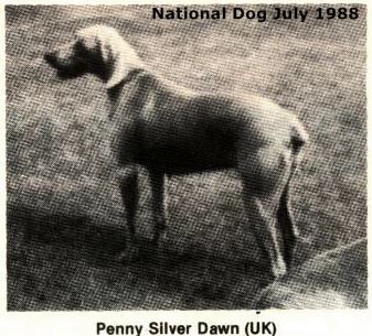 Image of Penny Silver Dawn