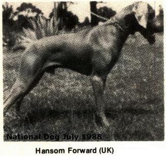 Image of Hansom Forward