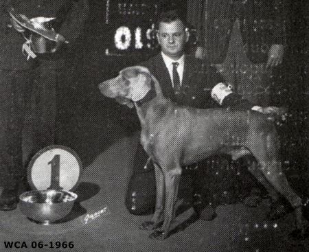 Image of Moeller's Bachelor