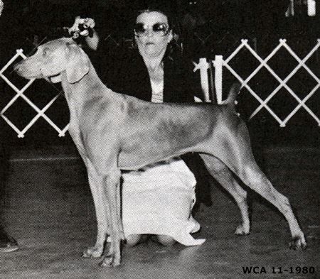 Image of Thorveld's Magic Mercury