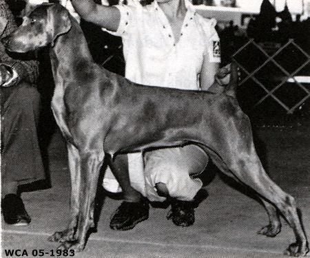 Image of Silverbrand Jubilee V Jar-Em