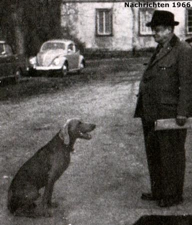 Image of Barras vom Schwarzen Holz