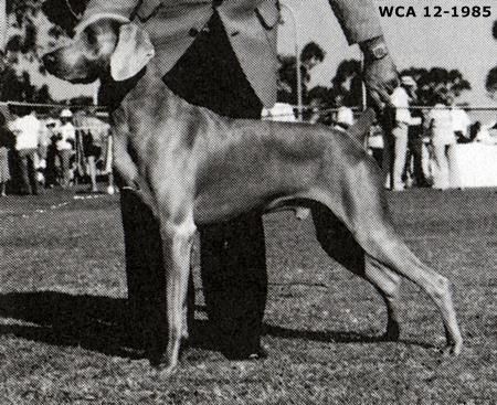 Image of Sargent's Kristof Sundance