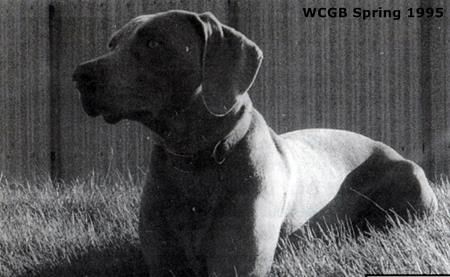 Image of George Gladstone