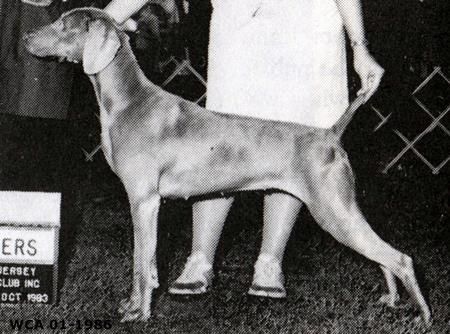 Image of Arimar's Reiteralm Scherzo