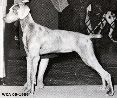 Image of Lightfoot's Whisper The Wind